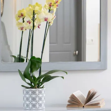 Smaragdi Perivolos (Santorini)