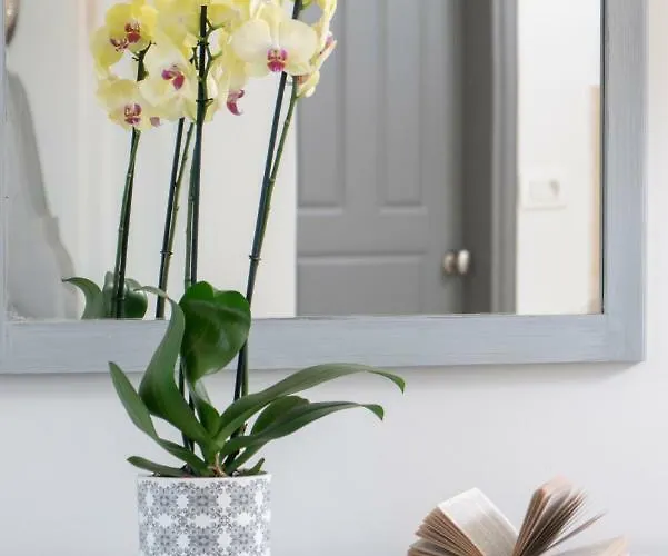 Smaragdi Perivólosz